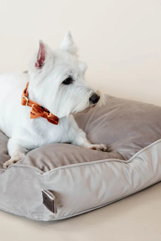 Kentucky Hondenbed Pillow Velvet