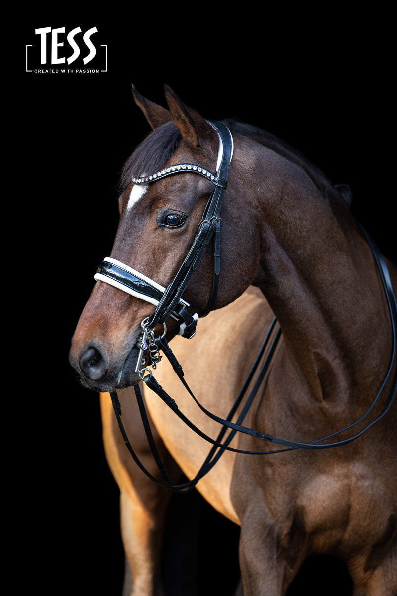 TESS Double Bridle WIDE Black/White