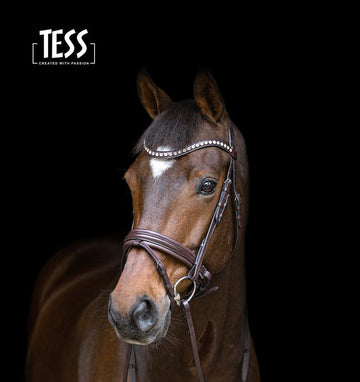 TESS Trens Jumping Bridle